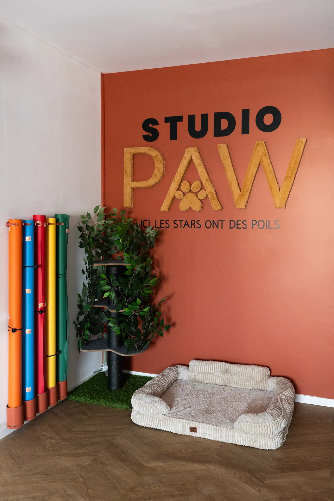Décor du studio photo animalier de Raismes : mur terracotta Studio PAW, fonds colorés et couchage